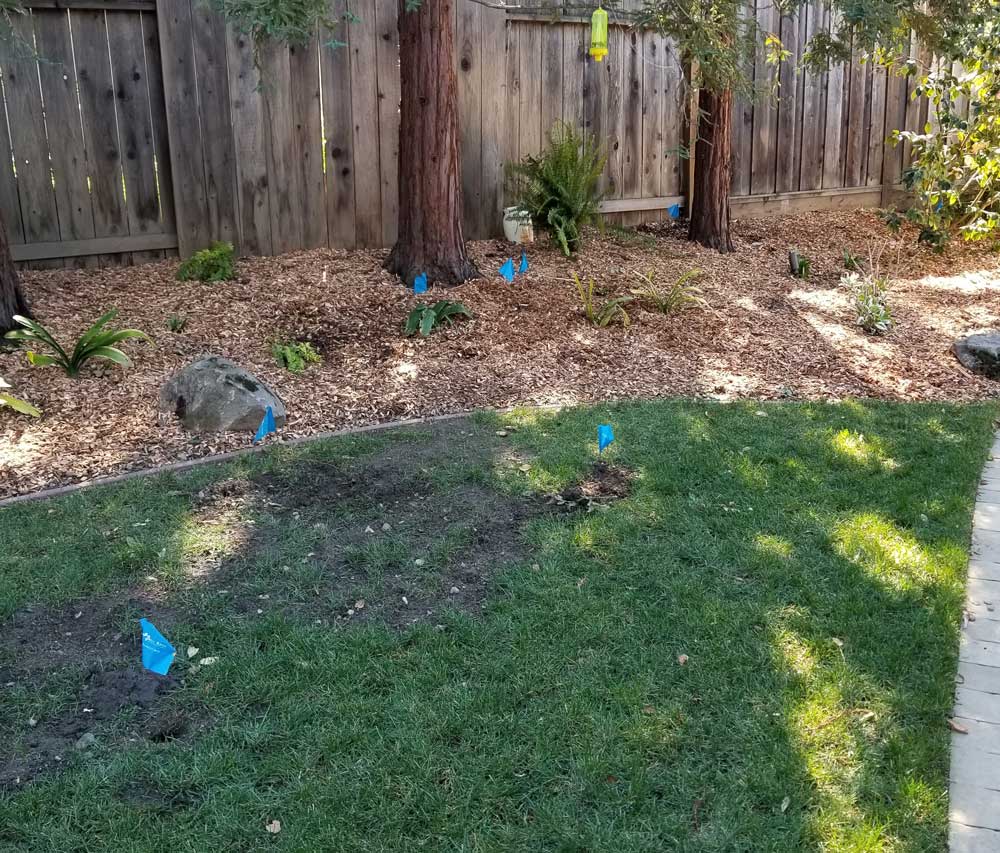 Backyard Flag Markers