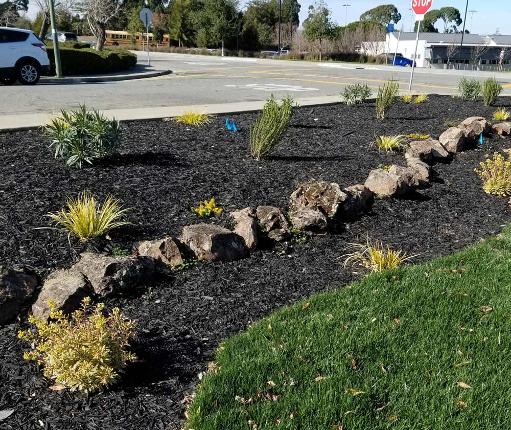 Flour Bed By Road